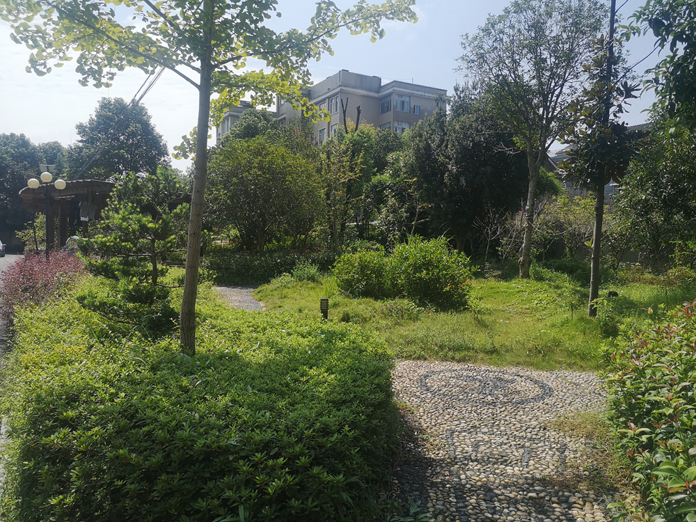 202011101 (3).jpg